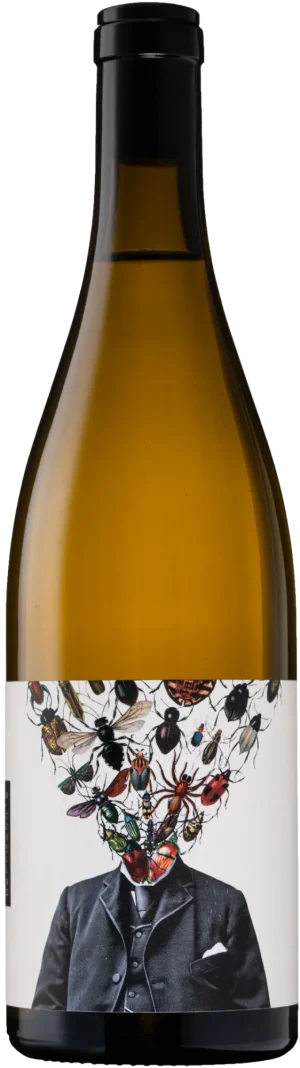 Chardonnay - <strong>2023</strong>