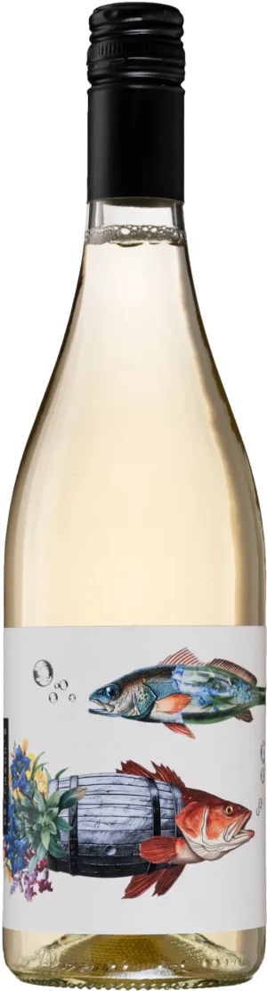 Sauvignon Blanc - <strong>2024</strong>