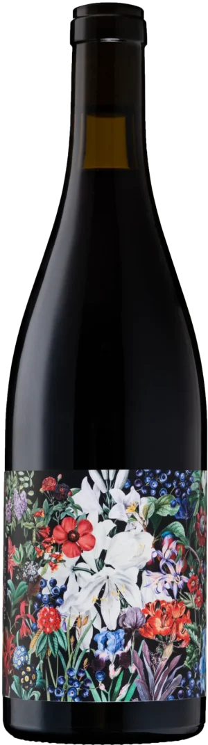 Syrah - <strong>2024</strong>